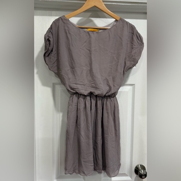 Alice + Olivia Slate Gray Mini Dress - Picture 3 of 8